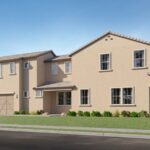 Moringa Plan 1012 36540017